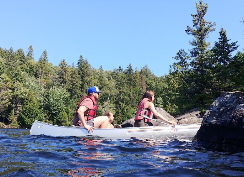 Picture 1 for Activity From Toronto: Algonquin Park Canoeing & Hiking Adventure