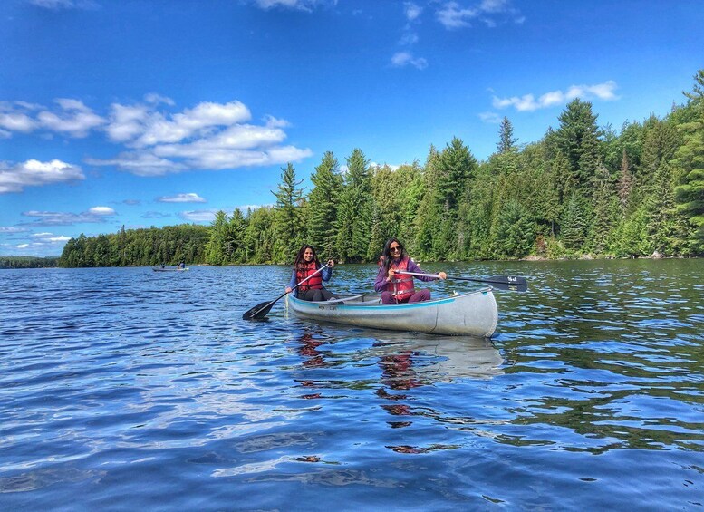 Picture 4 for Activity From Toronto: Algonquin Park Hiking Adventure Tour