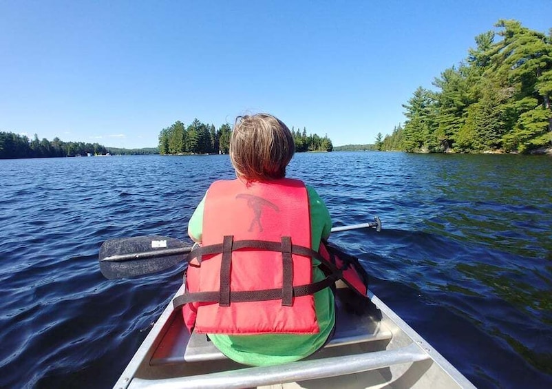 Picture 9 for Activity From Toronto: Algonquin Park Canoeing & Hiking Adventure