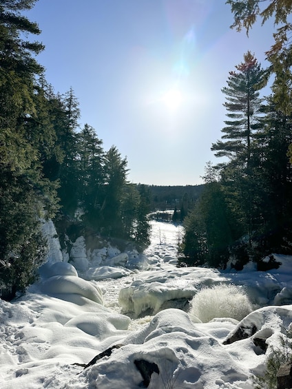 Picture 7 for Activity From Toronto: Algonquin Park Hiking Adventure Tour