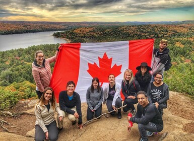 Von Toronto aus: Algonquin Park Wanderabenteuer Tour