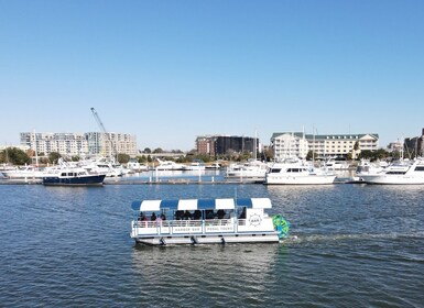 Charleston : Harbor Bar Pedal Boat Party Cruise