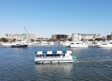 Charleston: Harbor Bar Pedal Boat Party Cruise