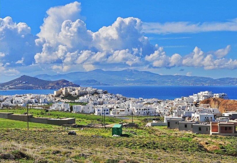 Picture 4 for Activity Naxos Highlights With Tastings