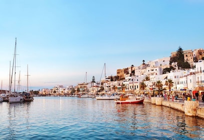 Les points forts de Naxos avec dégustations