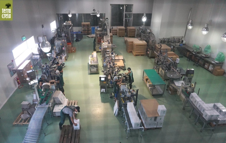 Picture 3 for Activity The Terra Creta Olive Oil Experience Tour