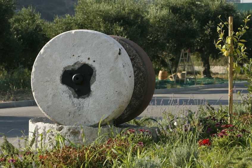 Picture 1 for Activity The Terra Creta Olive Oil Experience Tour