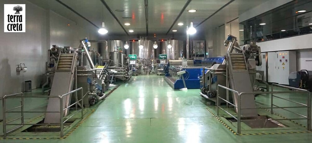 Picture 7 for Activity The Terra Creta Olive Oil Experience Tour
