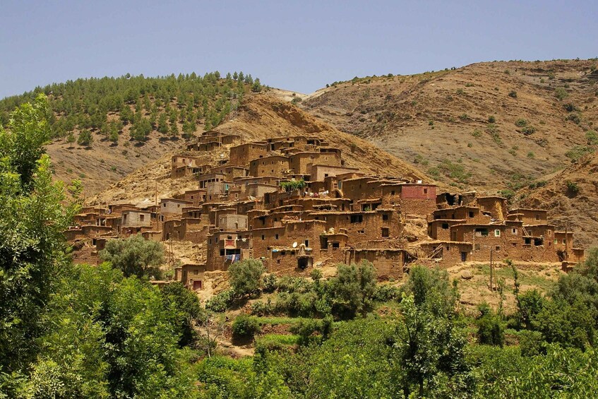 Picture 4 for Activity From Marrakech: Atlas Mountains and Ourika Valley Tour