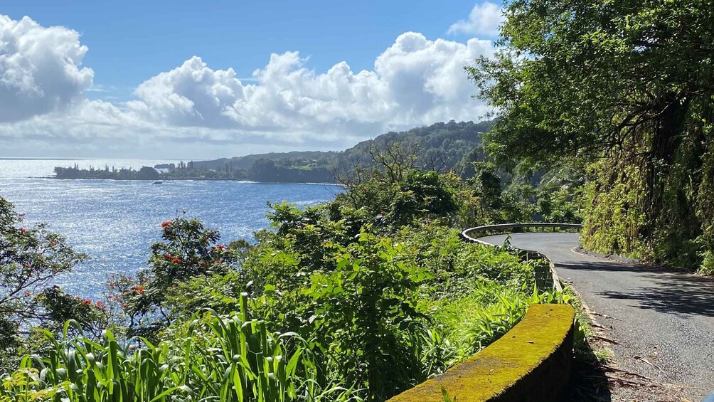 Picture 1 for Activity Maui: Road to Hana Private Adventure Tour with Luxury SUV