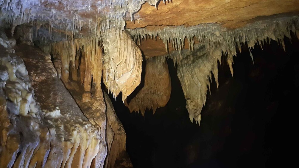 Picture 7 for Activity La Ciotat: Caving in Calanques National Park Half-Day Tour