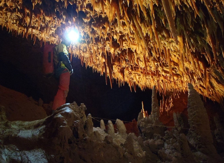 Picture 4 for Activity La Ciotat: Caving in Calanques National Park Half-Day Tour