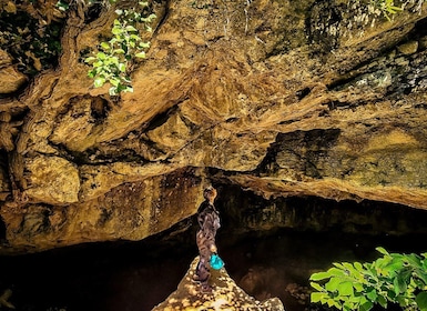 La Ciotat: Halvdagstur til grotter i Calanques National Park