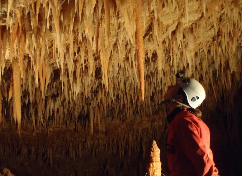 Picture 6 for Activity La Ciotat: Caving in Calanques National Park Half-Day Tour