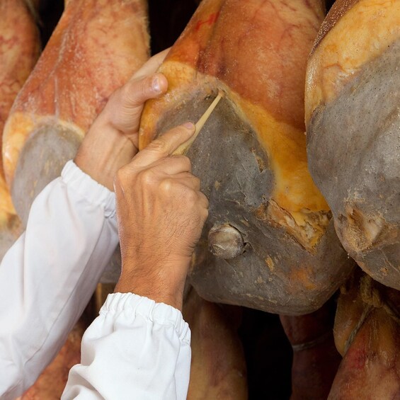 Picture 4 for Activity Parma: Parmigiano Production and Parma Ham Tour & Tasting