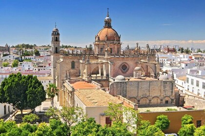 Jerez: Tapas y tabernas locales