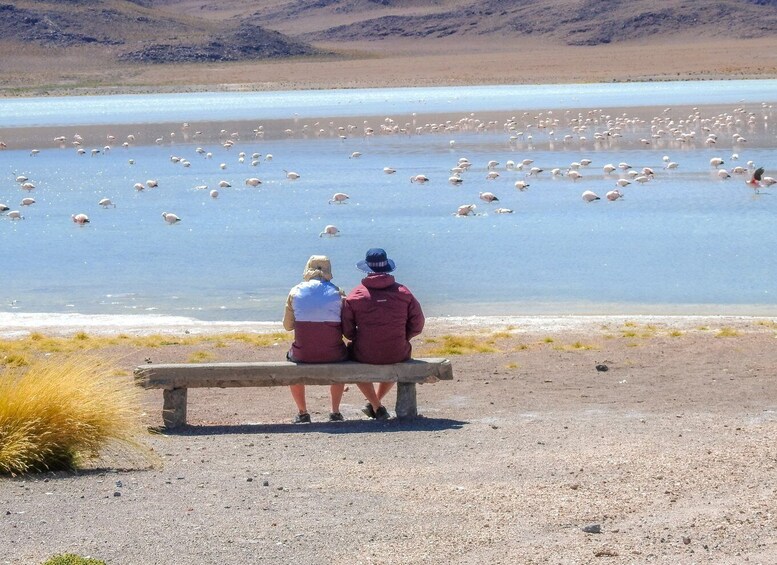 Picture 7 for Activity La Paz: Uyuni Salt Flats & Isla Incahuasi 5-Day Bus Tour