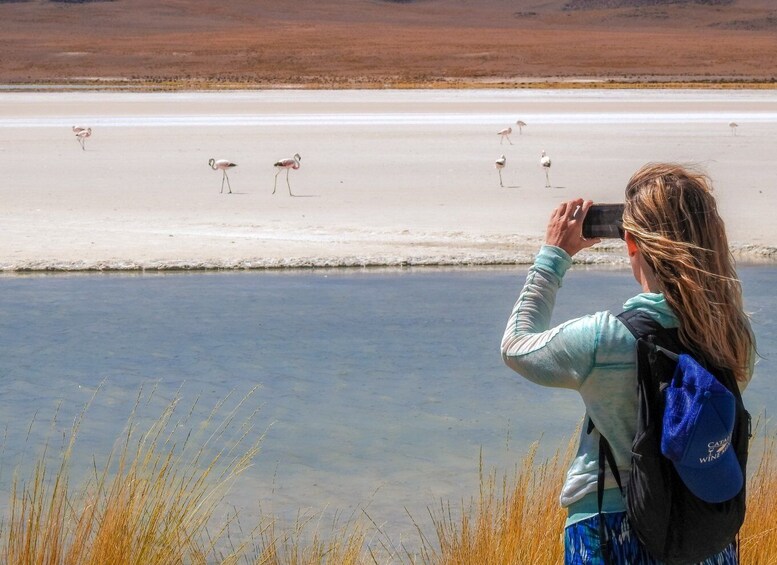 Picture 5 for Activity La Paz: Uyuni Salt Flats & Isla Incahuasi 5-Day Bus Tour