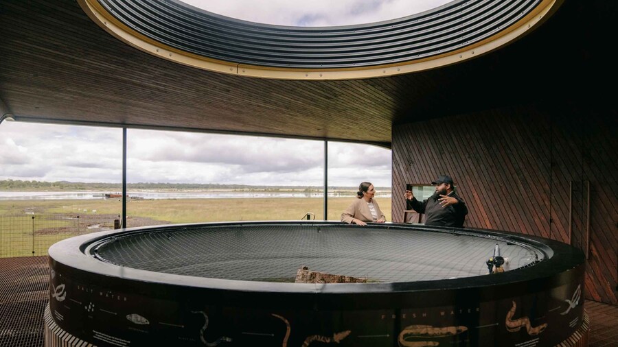 Budj Bim: Tae Rak Wetlands 2 Hour Guided Cultural Tour