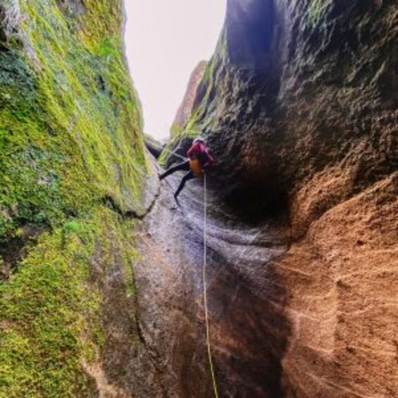 Picture 7 for Activity Tenerife: Guided Canyoning Experience in Los Arcos