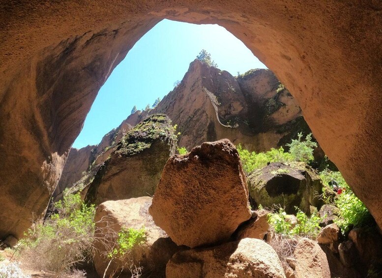 Picture 8 for Activity Tenerife: Guided Canyoning Experience in Los Arcos