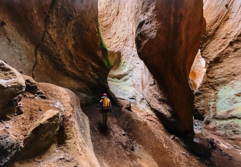 Tenerife: Guided Canyoning Experience in Los Arcos
