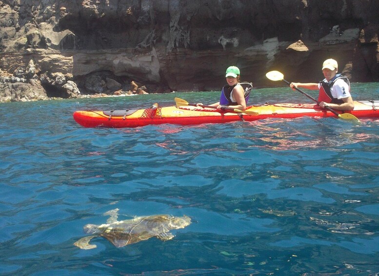 Picture 5 for Activity Santorini: South Sea Kayaking Tour with Sea Caves and Picnic