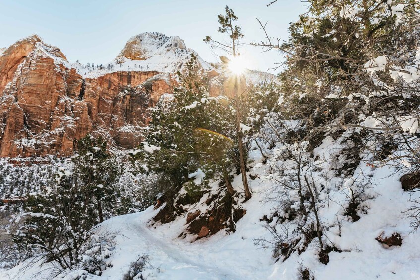 Picture 3 for Activity From Springdale: 4-hour Zion Canyon Scenic Hiking Tour