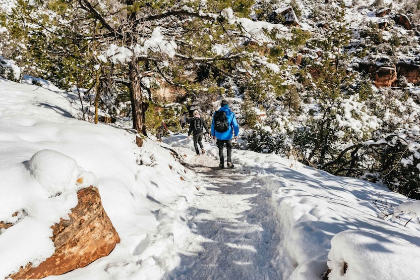 Picture 17 for Activity From Springdale: 4-hour Zion Canyon Scenic Hiking Tour