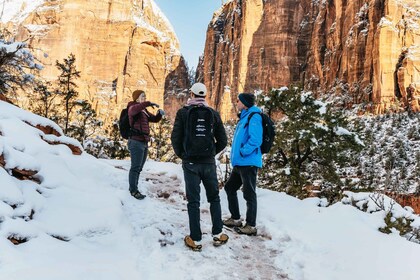 From Springdale: 4-hour Zion Canyon Scenic Hiking Tour