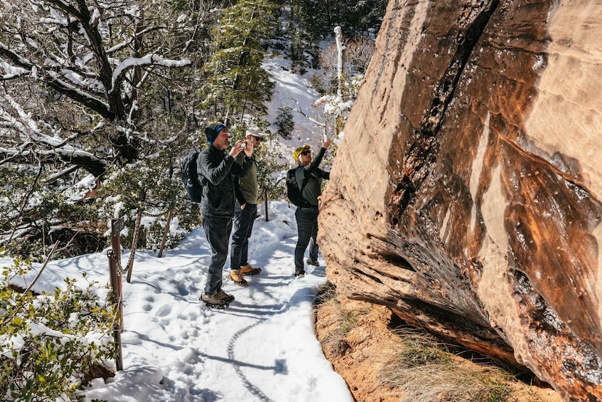 Picture 9 for Activity From Springdale: 4-hour Zion Canyon Scenic Hiking Tour