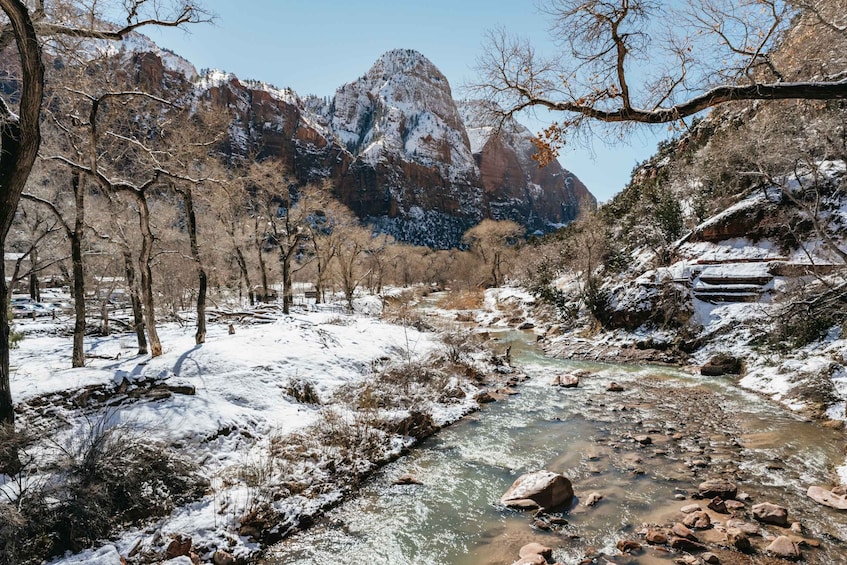 Picture 13 for Activity From Springdale: 4-hour Zion Canyon Scenic Hiking Tour