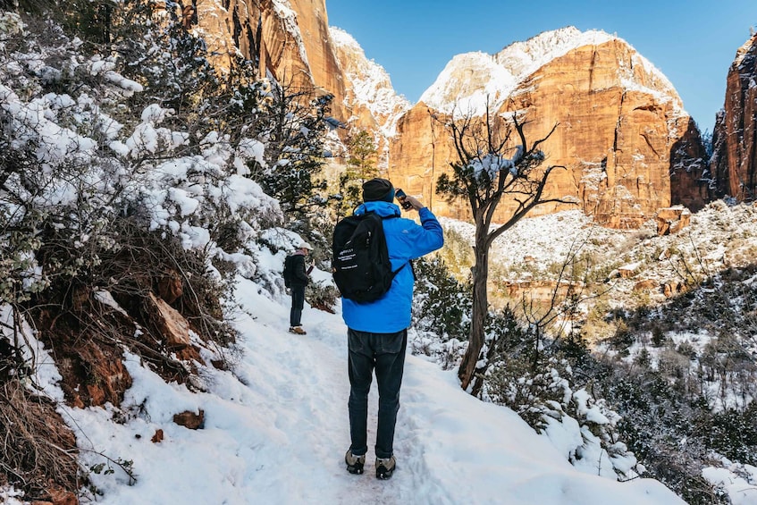 Picture 2 for Activity From Springdale: 4-hour Zion Canyon Scenic Hiking Tour