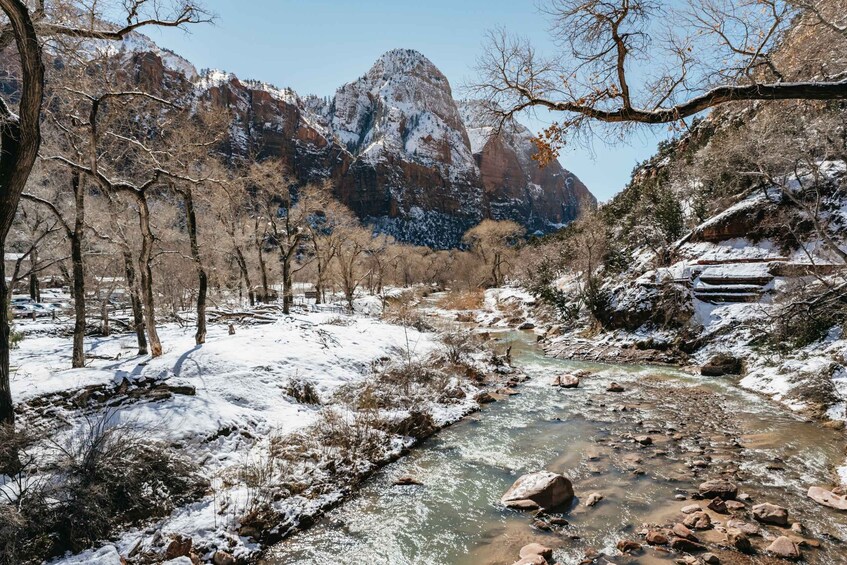 Picture 13 for Activity From Springdale: 4-hour Zion Canyon Scenic Hiking Tour