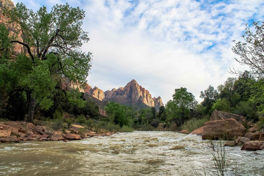 Picture 2 for Activity From Springdale: 4-hour Zion Canyon Scenic Hiking Tour