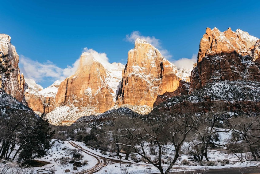 Picture 1 for Activity From Springdale: 4-hour Zion Canyon Scenic Hiking Tour