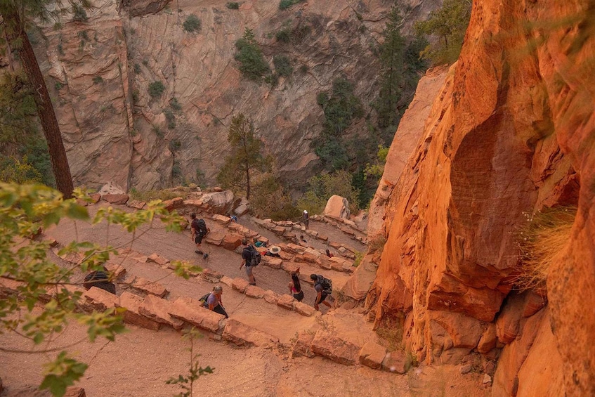 Picture 2 for Activity From Springdale: 4-hour Zion Canyon Scenic Hiking Tour