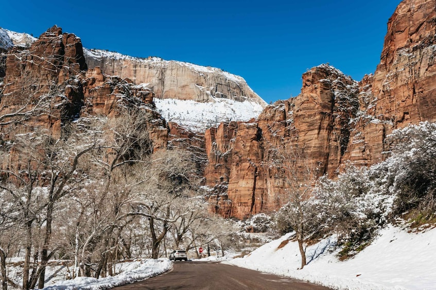 Picture 18 for Activity From Springdale: 4-hour Zion Canyon Scenic Hiking Tour