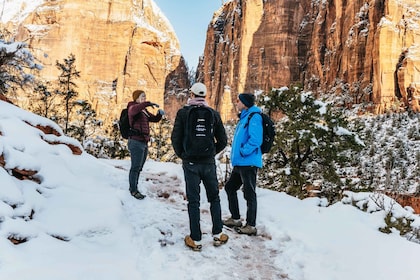 From Springdale: 4-hour Zion Canyon Scenic Hiking Tour