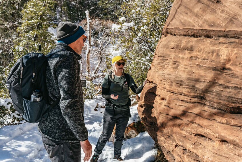 Picture 11 for Activity From Springdale: 4-hour Zion Canyon Scenic Hiking Tour