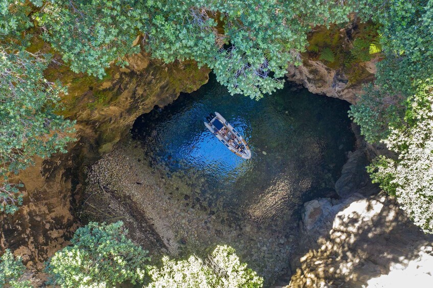 Picture 8 for Activity Whitianga: Cathedral Cove Adventure Boat Tour and Snorkeling