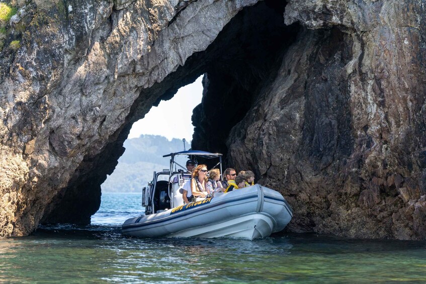 Picture 2 for Activity Whitianga: Cathedral Cove Adventure Boat Tour and Snorkeling