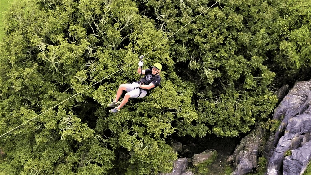 Picture 5 for Activity Waitomo Caves 1-Kilometer-Long Zipline Tour