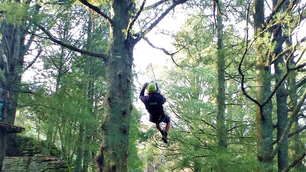 Picture 3 for Activity Waitomo Caves 1-Kilometer-Long Zipline Tour