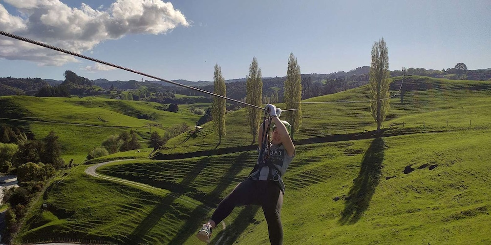 Picture 4 for Activity Waitomo Caves 1-Kilometer-Long Zipline Tour