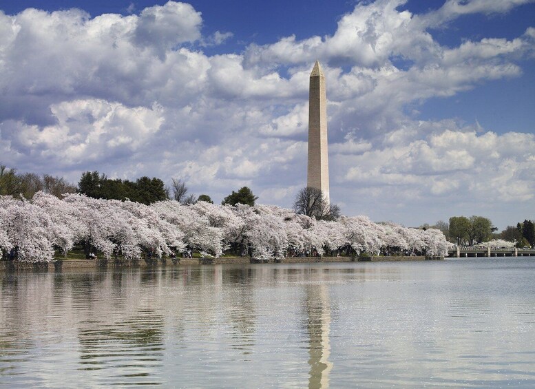 Picture 2 for Activity DC: Tour with U.S. Capitol Ground Access