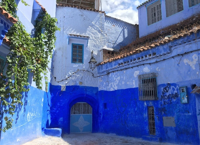 Picture 4 for Activity From Casablanca: Private Day Trip to Chefchaouen with Medina
