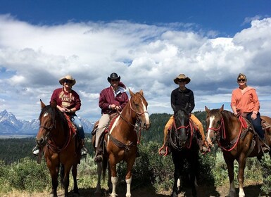 Jackson Hole : Randonnée à cheval dans la forêt nationale de Bridger-Teton