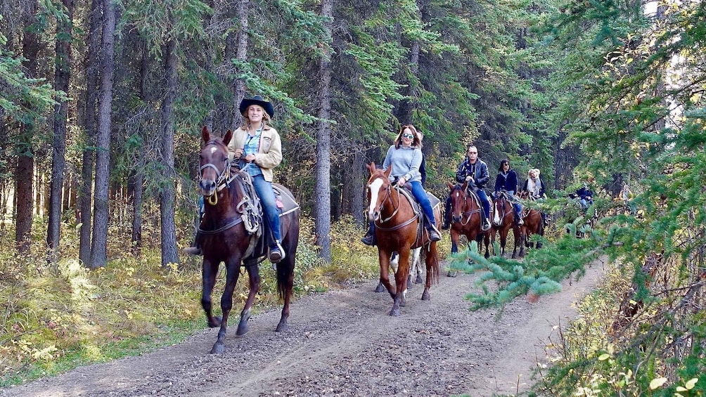 Picture 2 for Activity Jackson Hole: Bridger-Teton National Forest Horseback Ride