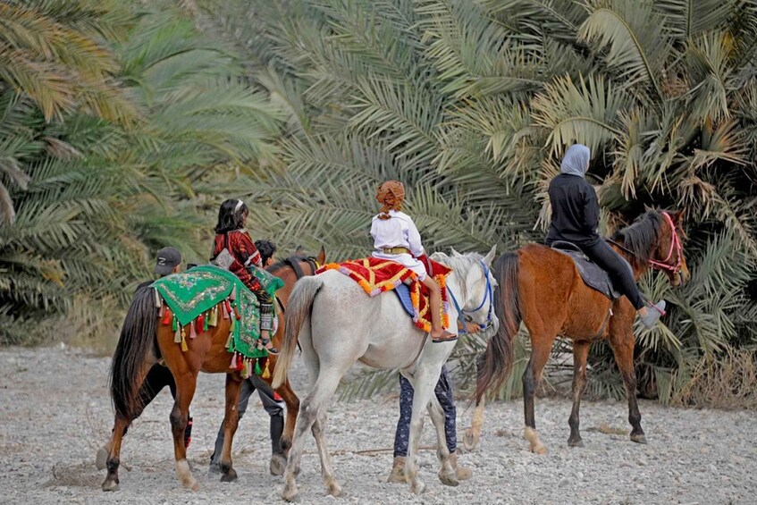 Picture 2 for Activity Muscat: Horse Riding Experience with Traditional Dinner